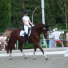 Sommerturnier